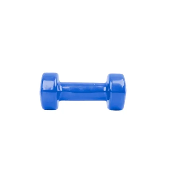 1 Piece Vinyl Dumbbell 2KG Blue