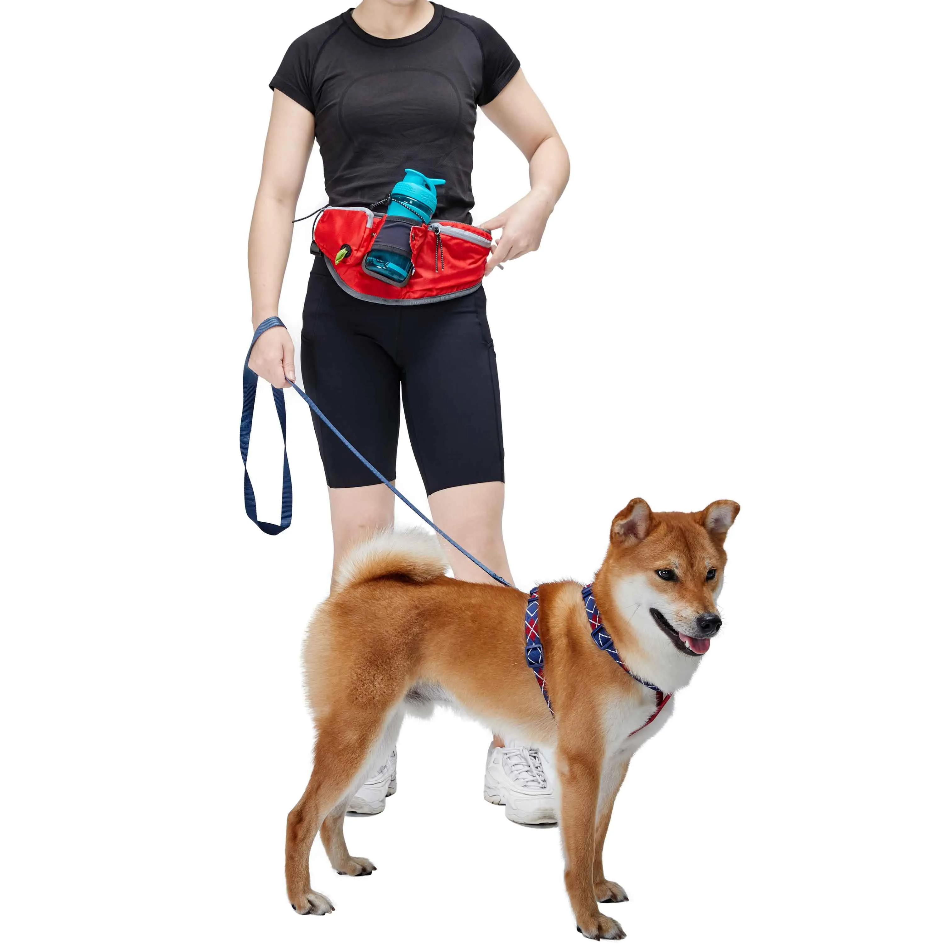 All-Purpose Multi-function Dog Walking Bag