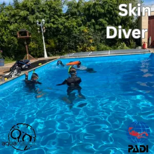 PADI Skin Diver (Advanced Snorkeler)