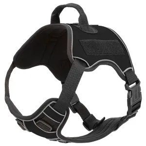 Quest Multi-Purpose Harness, Medium